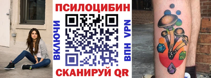 Галлюциногенные грибы мицелий это состав Бугульма